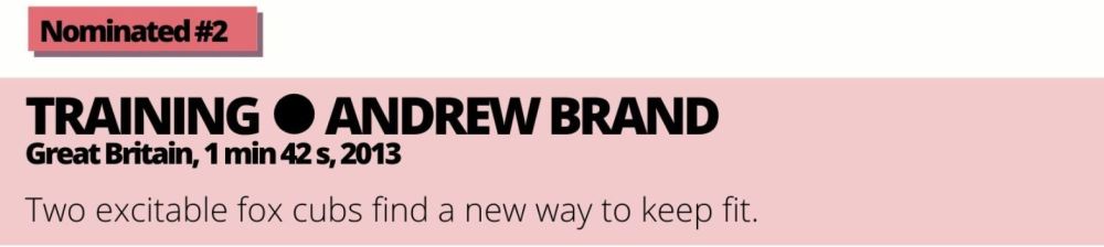 Nominated 2 Exercice 1