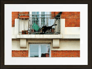 Minoule - Nicolas Bianco