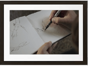 Sustainable dev & Corp Oiseau